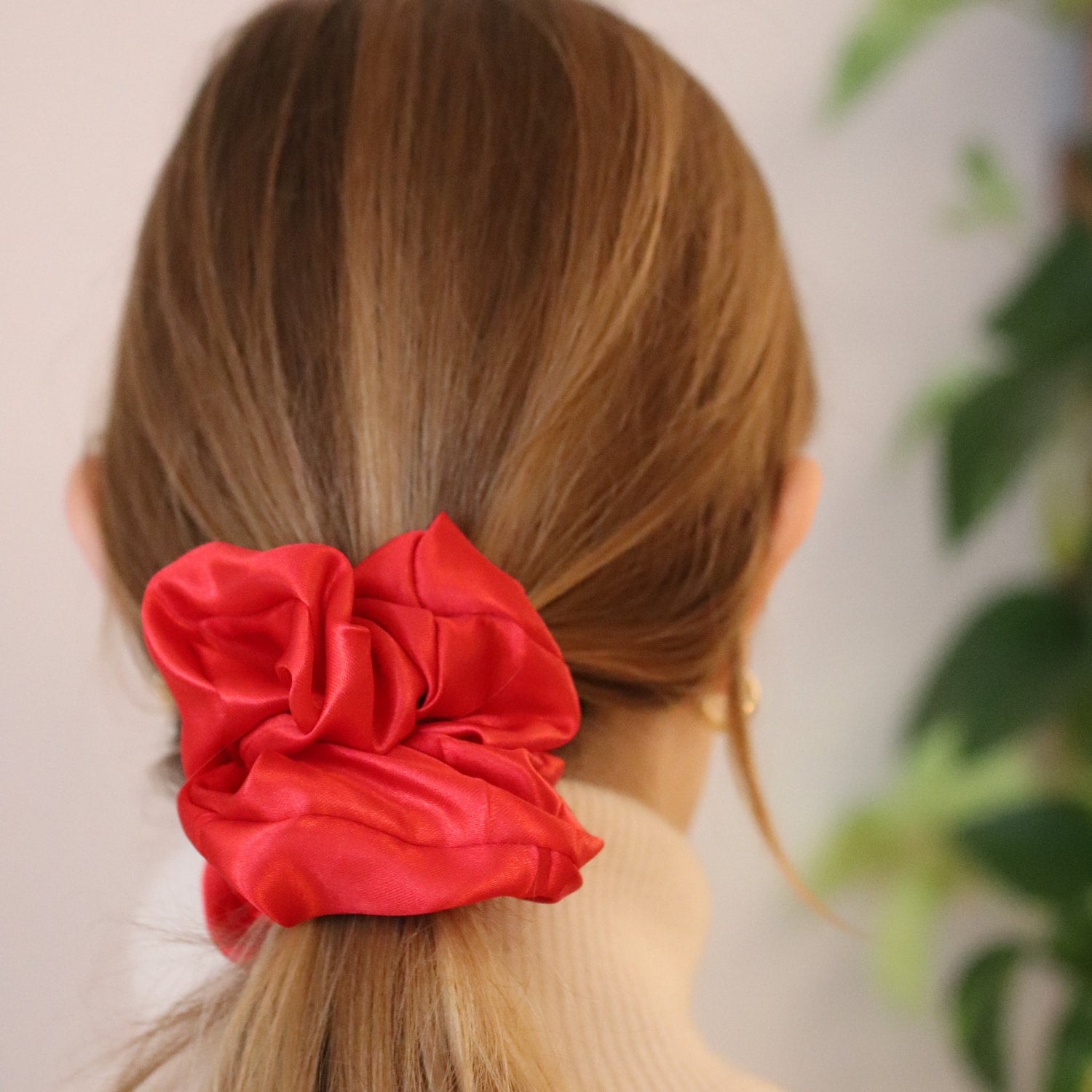 Belle - Rosenrot